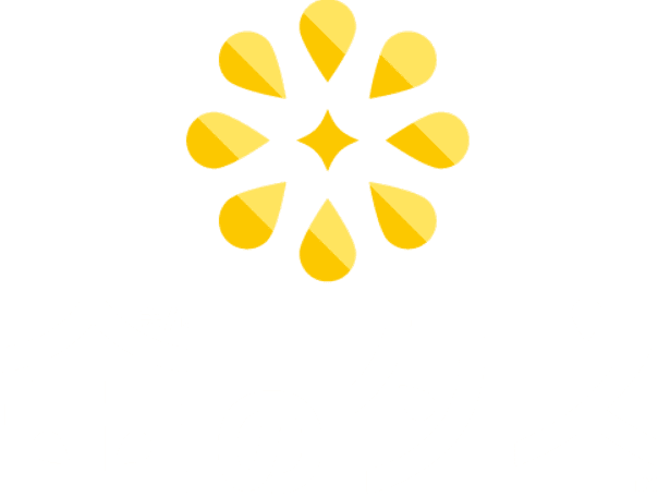 金のタネ